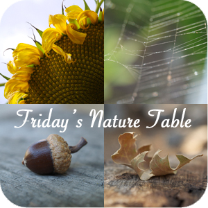 http://www.themagiconions.com/wp-content/uploads/2012/09/Fridays-Nature-Table1.jpg